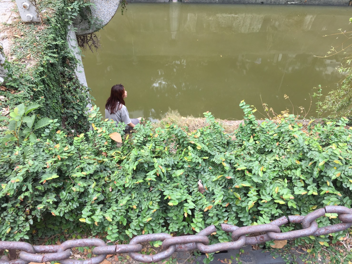 高雄一名婦女欲投河輕生,警消到案後英勇解救婦女,結束有驚無險的事件。 高雄一名婦女欲投河輕生,警消到案後英勇解救婦女,結束有驚無險的事件。