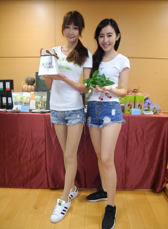 新北市農業局將舉辦冬茶上市展售會,可品茗、參加遊戲,還可茶鄉健行。 新北市農業局將舉辦冬茶上市展售會,可品茗、參加遊戲,還可茶鄉健行。
