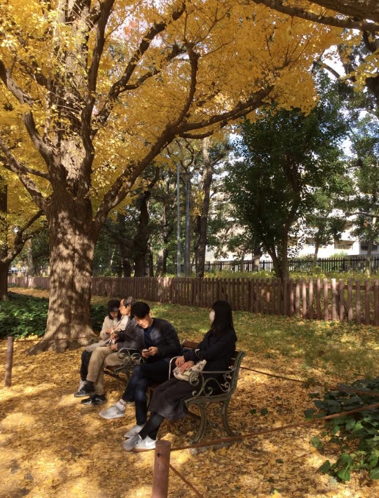 在黃金地毯上享受秋日美景的遊客。 圖:劉黎兒/攝 在黃金地毯上享受秋日美景的遊客。 圖:劉黎兒/攝