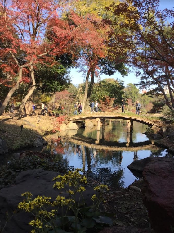 六義園的小橋流水與紅葉。 圖:劉黎兒/攝 六義園的小橋流水與紅葉。 圖:劉黎兒/攝