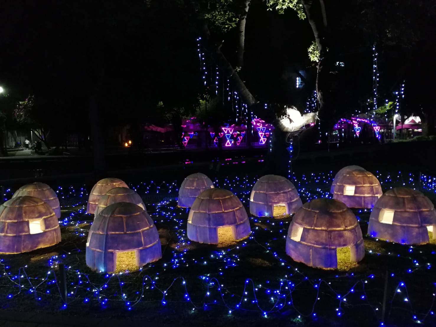 屏東公園今年的聖誕燈飾「冰屋村」。 圖:屏東縣政府/提供 屏東公園今年的聖誕燈飾「冰屋村」。 圖:屏東縣政府/提供
