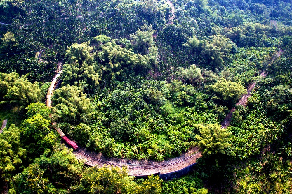與阿里山森林鐵路一起穿越田野,前進山林。 與阿里山森林鐵路一起穿越田野,前進山林。