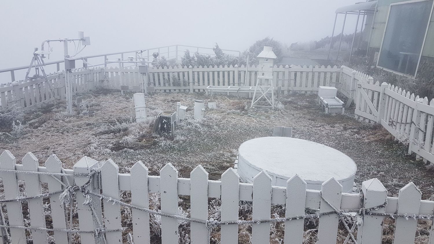 不少追雪族衝上山享受白色世界。 圖:中央氣象局提供 不少追雪族衝上山享受白色世界。 圖:中央氣象局提供