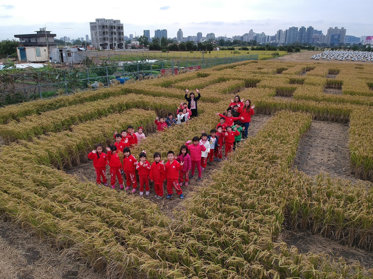 周末假日,出去走走!竹東鎮在12月9~10日安排了「2017竹東稻田嘉年華」活動,有六百的稻田迷宮,讓大小朋友在1公尺高的稻穗裡遊玩。 周末假日,出去走走!竹東鎮在12月9~10日安排了「2017竹東稻田嘉年華」活動,有六百的稻田迷宮,讓大小朋友在1公尺高的稻穗裡遊玩。