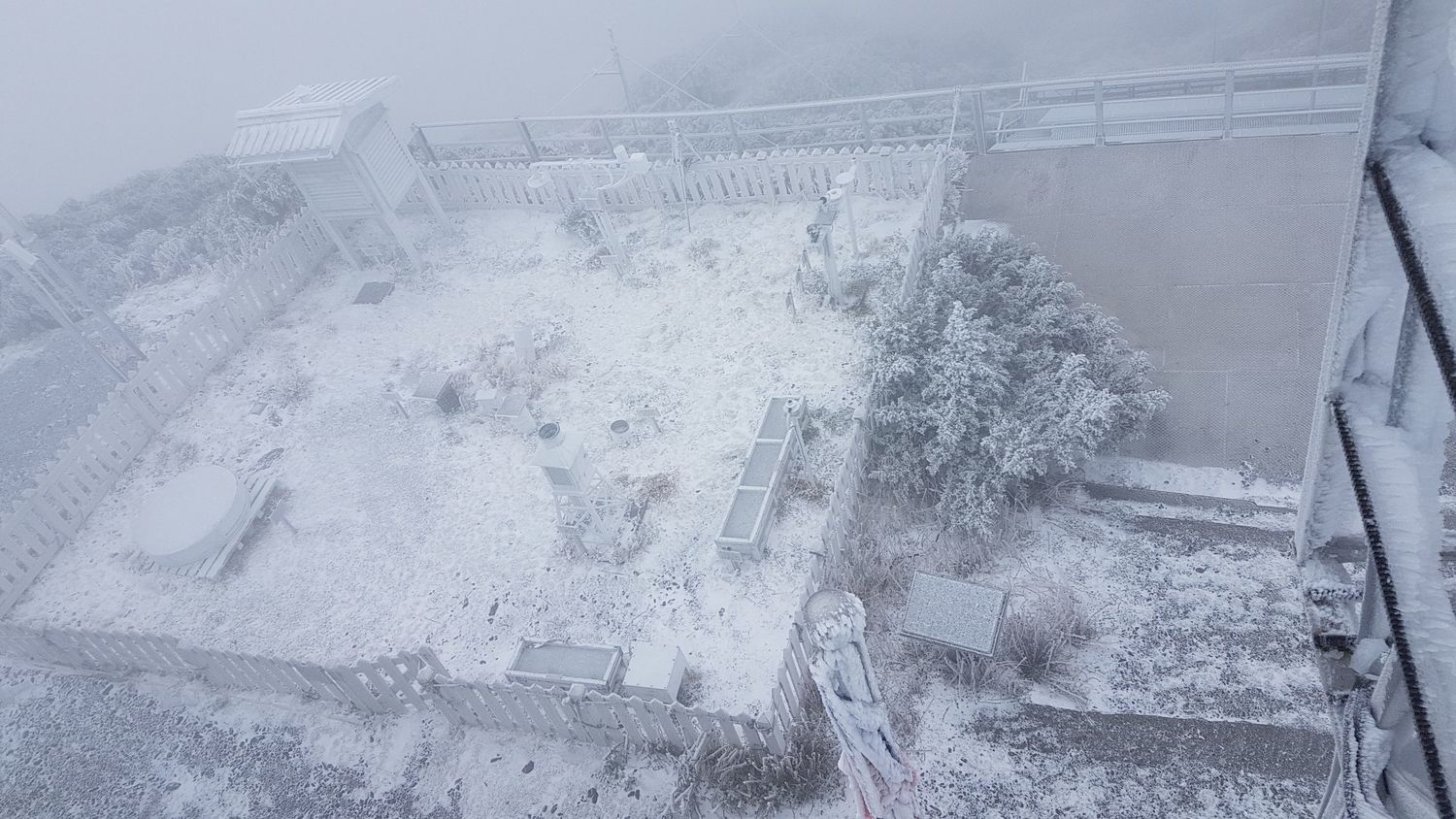 玉山今晨4時開始降雪。 圖:中央氣象局提供 玉山今晨4時開始降雪。 圖:中央氣象局提供