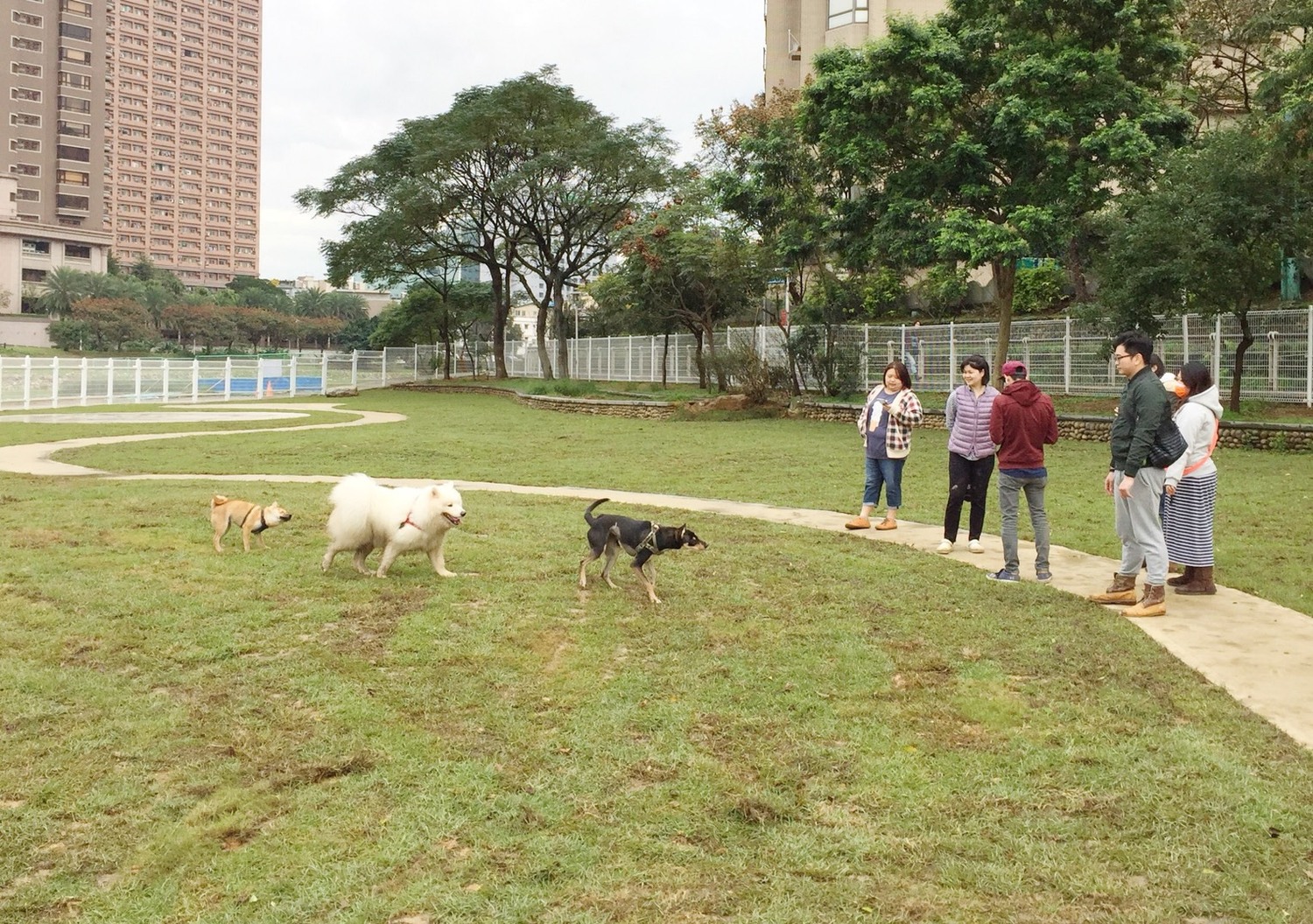 桃園市府也將設置寵物公園,讓人跟動物更友善相處,使桃園成為「動物友善城市」。 圖:桃園市政府/提供 桃園市府也將設置寵物公園,讓人跟動物更友善相處,使桃園成為「動物友善城市」。 圖:桃園市政府/提供