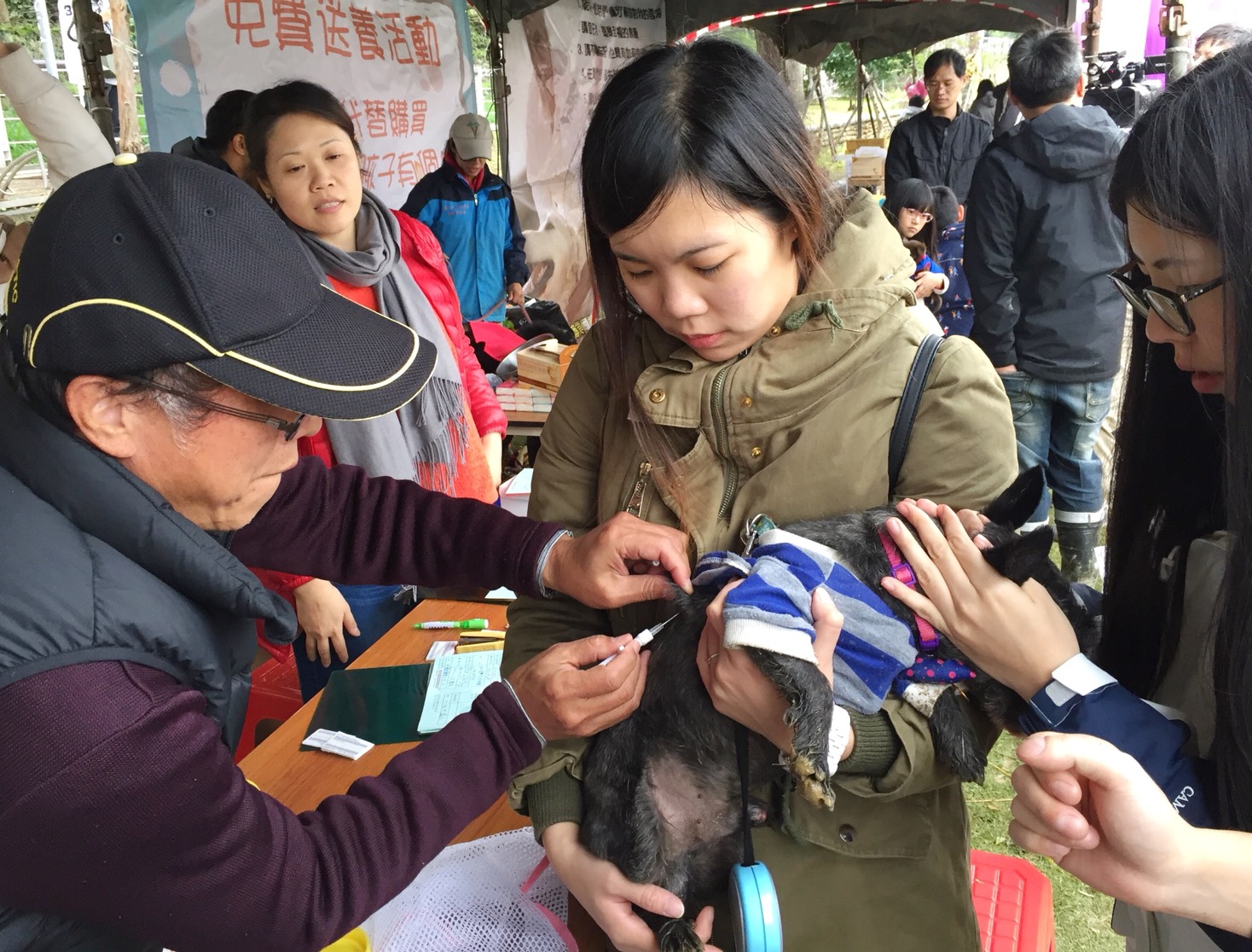 鄭文燦表示,動保政策必須做好源頭管理,教育飼主飼養毛小孩的責任,配合植入晶片、節育、注射疫苗等措施。 圖:桃園市政府/提供 鄭文燦表示,動保政策必須做好源頭管理,教育飼主飼養毛小孩的責任,配合植入晶片、節育、注射疫苗等措施。 圖:桃園市政府/提供