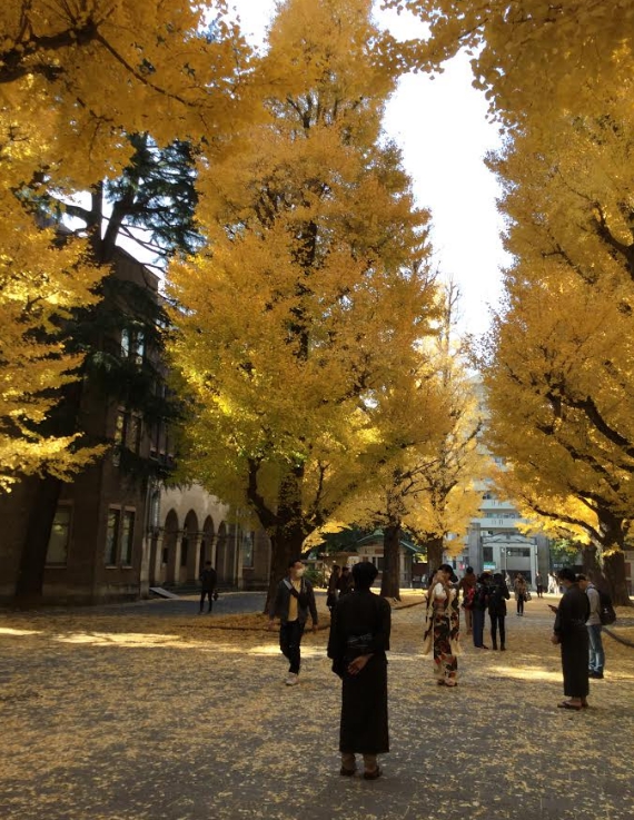 專補考日本名門大學的補習班「名校志向塾」官網宣傳合格實績,像早大84人。
專補考日本名門大學的補習班「名校志向塾」官網宣傳合格實績,像早大84人。