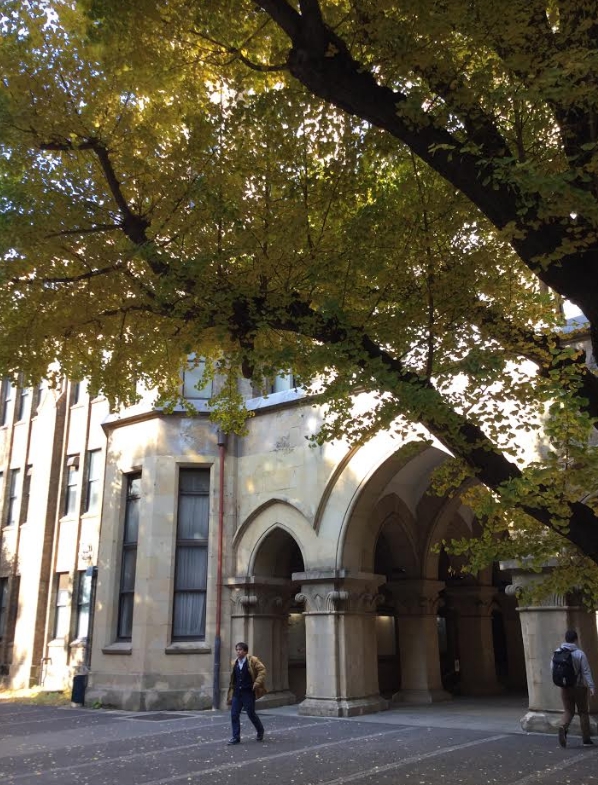 專補考日本名門大學的補習班「名校志向塾」官網宣傳合格實績,像早大84人。
專補考日本名門大學的補習班「名校志向塾」官網宣傳合格實績,像早大84人。
