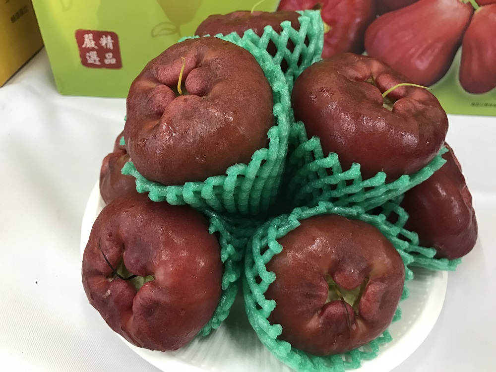 想吃屏東蓮霧、蜜棗不用去屏東,在台北就吃得到!圖為屏東蓮霧資料照。 圖:屏東縣政府提供 想吃屏東蓮霧、蜜棗不用去屏東,在台北就吃得到!圖為屏東蓮霧資料照。 圖:屏東縣政府提供
