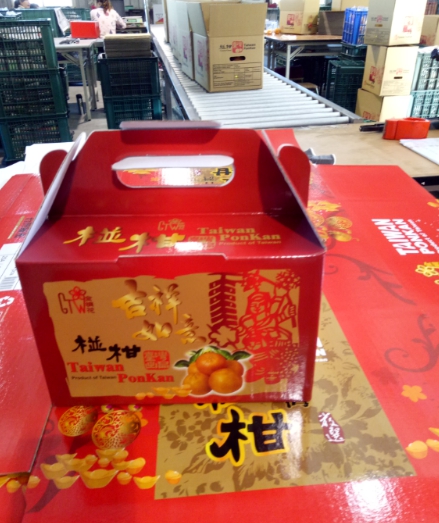 椪柑為過年應景果品,是海外華人新年期間缺一不可的年節水果。 圖:台中市政府/提供 椪柑為過年應景果品,是海外華人新年期間缺一不可的年節水果。 圖:台中市政府/提供