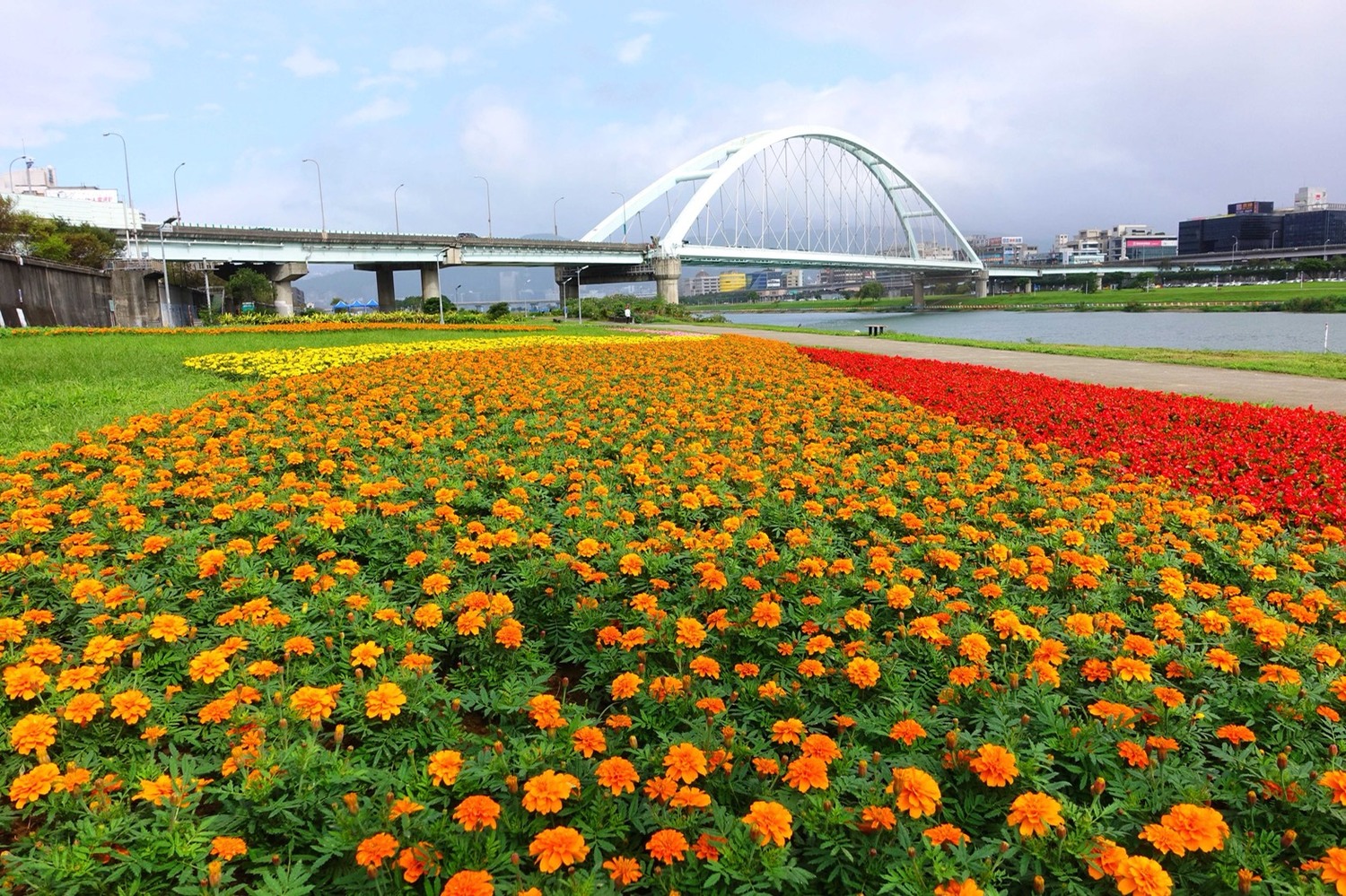 觀山河濱花海。 圖:台北市政府提供 觀山河濱花海。 圖:台北市政府提供