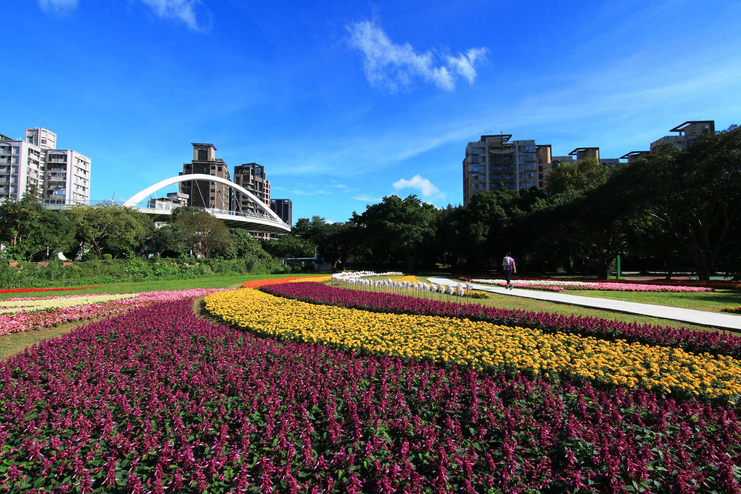 古亭河濱花海。 圖:台北市政府提供 古亭河濱花海。 圖:台北市政府提供