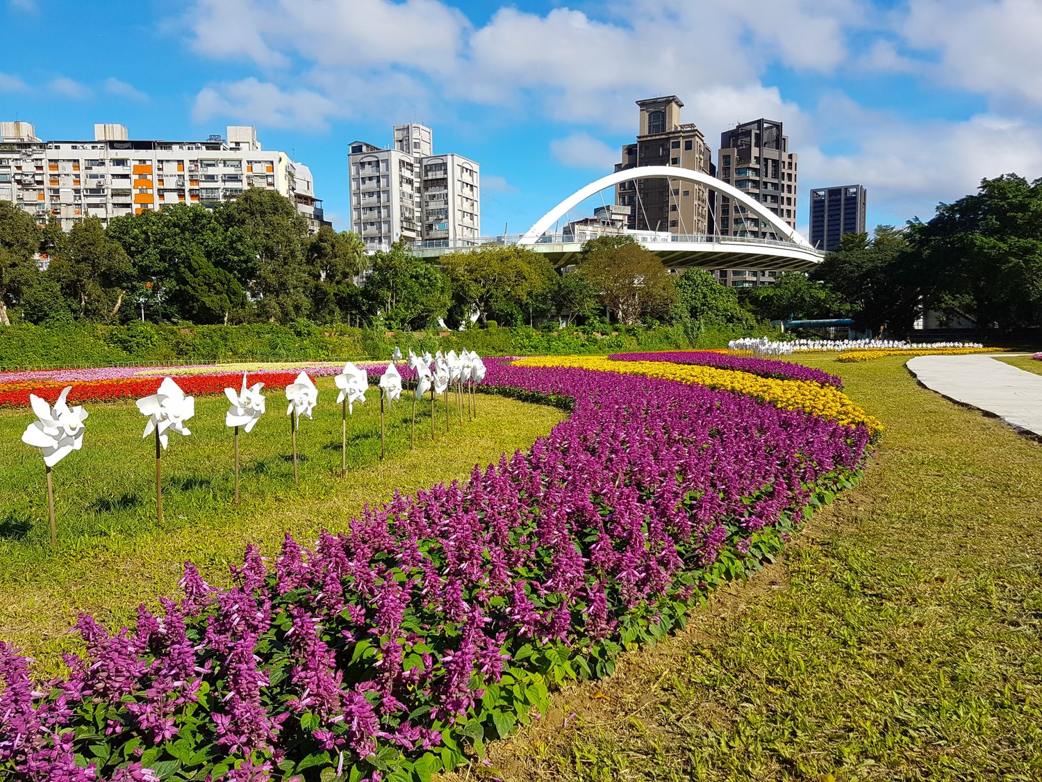古亭河濱花海有風車。 圖:台北市政府提供 古亭河濱花海有風車。 圖:台北市政府提供