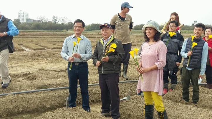 為了生長期需要75天到90天美麗海芋,大園區溪海里社區里民、花媽媽青年團隊及志工們,自去年12月中旬開始,合力挖溝、播種、放樣,陸續種下4萬顆的海芋種球,希望3月能繽紛登場,呈現美麗的彩芋給旅人欣賞。 圖:翻攝自桃園市花媽媽社區發展協會 為了生長期需要75天到90天美麗海芋,大園區溪海里社區里民、花媽媽青年團隊及志工們,自去年12月中旬開始,合力挖溝、播種、放樣,陸續種下4萬顆的海芋種球,希望3月能繽紛登場,呈現美麗的彩芋給旅人欣賞。 圖:翻攝自桃園市花媽媽社區發展協會