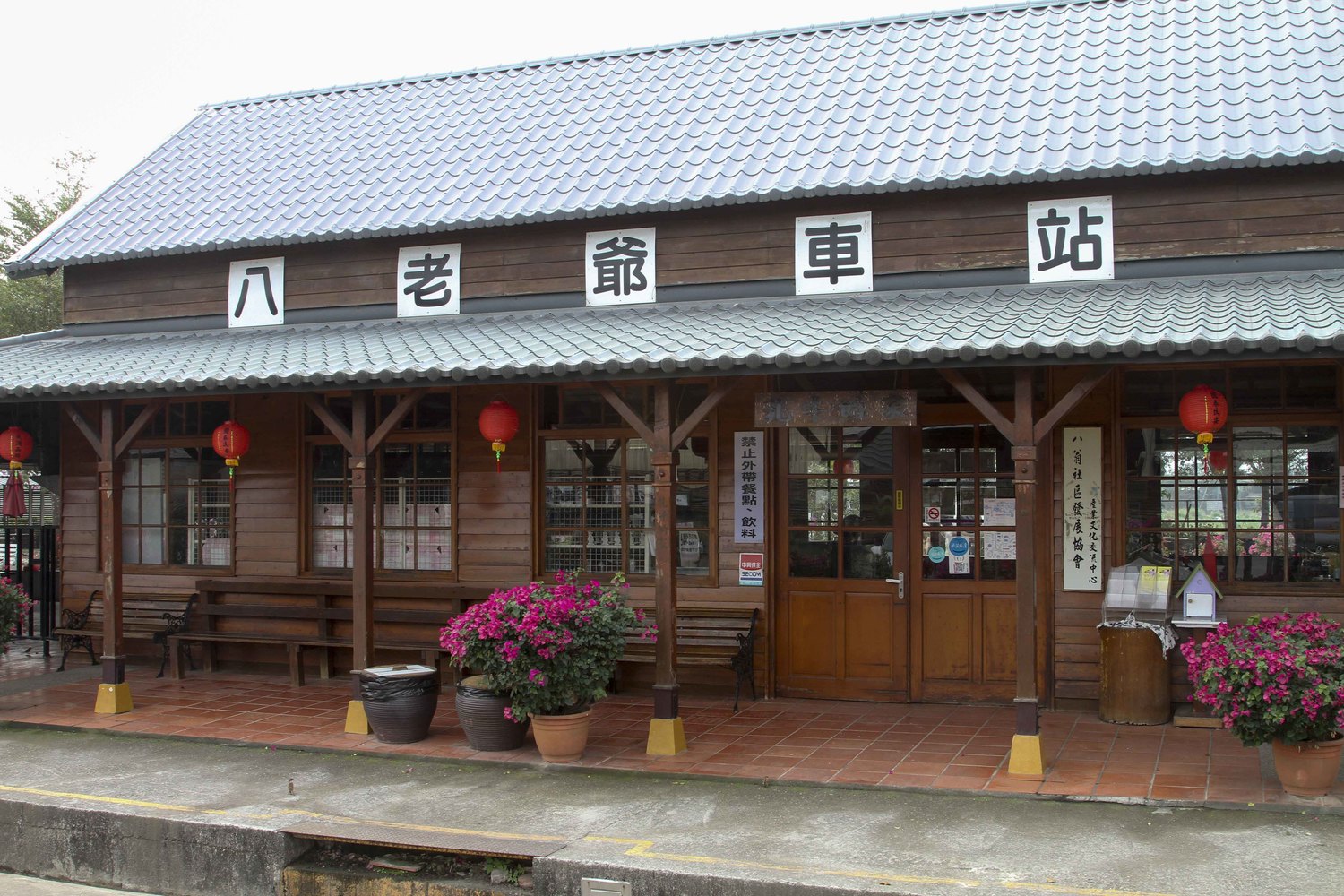 太康綠色隧道約長三公里,路段兩側種植數百株芒果樹,樹齡都超過五十年。 太康綠色隧道約長三公里,路段兩側種植數百株芒果樹,樹齡都超過五十年。