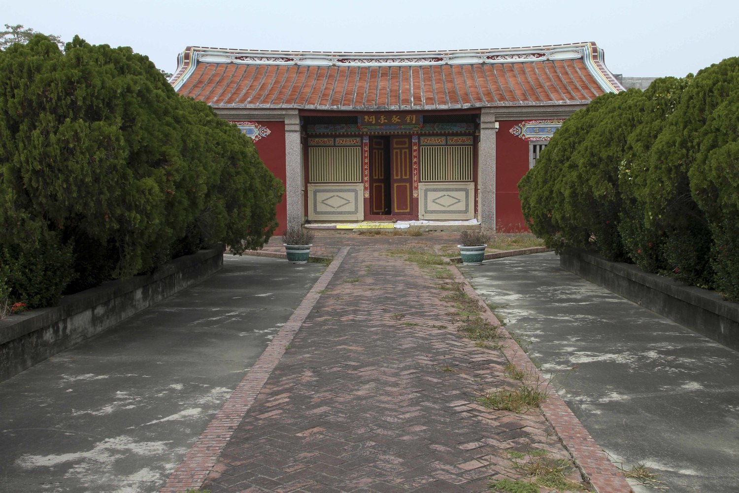 太康綠色隧道約長三公里,路段兩側種植數百株芒果樹,樹齡都超過五十年。 太康綠色隧道約長三公里,路段兩側種植數百株芒果樹,樹齡都超過五十年。
