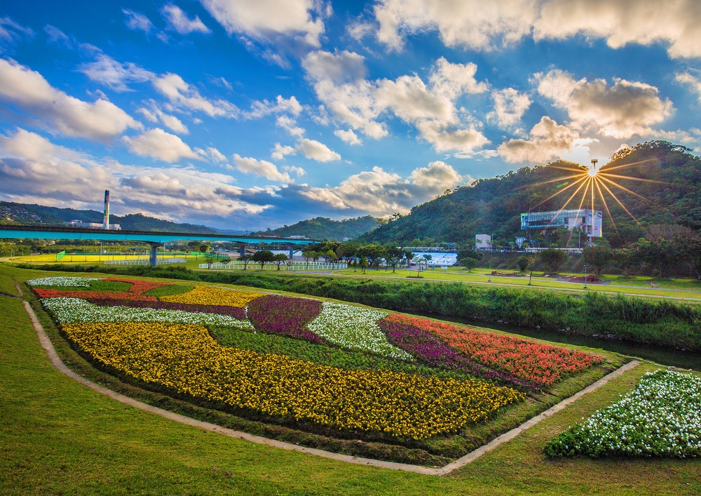 花海遠眺依山傍水的景色,彷彿是一幅畫。 圖:台北市政府提供 花海遠眺依山傍水的景色,彷彿是一幅畫。 圖:台北市政府提供