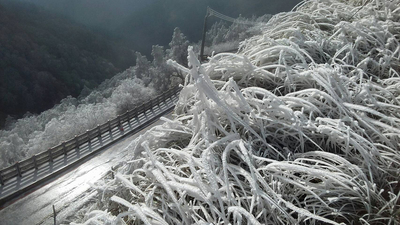 受到強烈大陸冷氣團影響,宜蘭縣太平山國家森林遊樂區11日深夜降雪,地面積雪約1公分,12日山區因水氣重樹梢凝結霧淞成銀白世界。 受到強烈大陸冷氣團影響,宜蘭縣太平山國家森林遊樂區11日深夜降雪,地面積雪約1公分,12日山區因水氣重樹梢凝結霧淞成銀白世界。