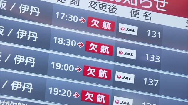 羽田機場日本國內線超過300個航班取消。 圖:翻攝NHK網站 羽田機場日本國內線超過300個航班取消。 圖:翻攝NHK網站