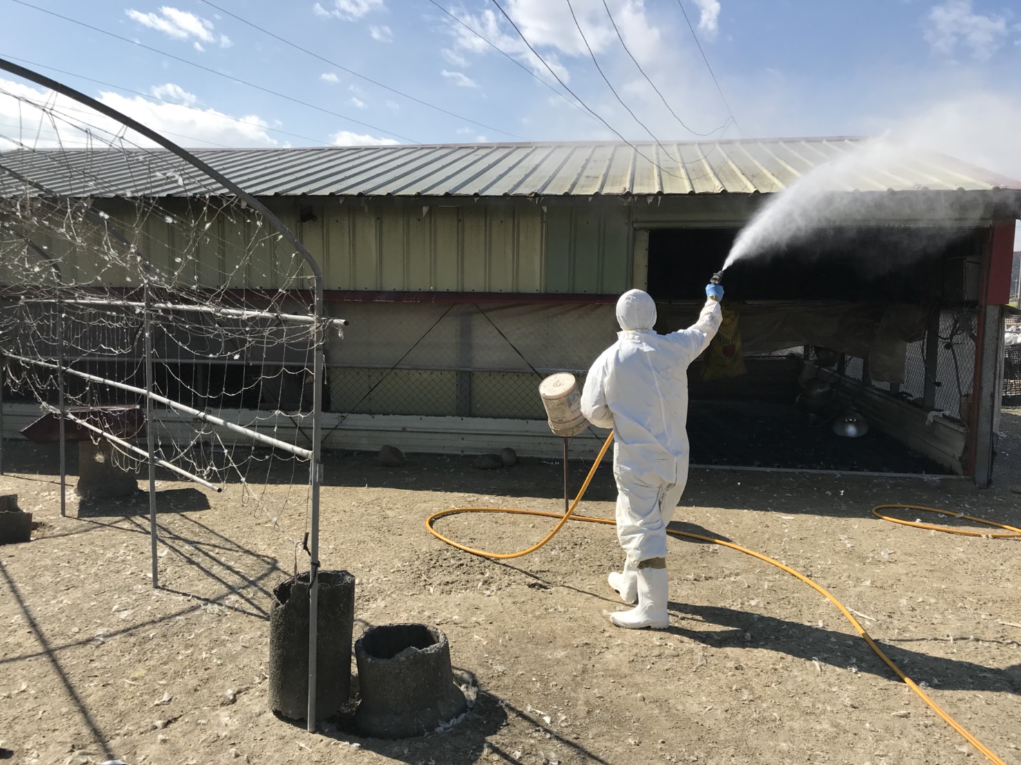 動保處要求轄內家禽業者務必落實自衛防疫及場區清潔消毒工作,徹底執行人車管制、避免與野鳥接觸,並加強禽舍保溫及通風操作,維護良好飼育環境。 圖 : 台中市政府/提供 動保處要求轄內家禽業者務必落實自衛防疫及場區清潔消毒工作,徹底執行人車管制、避免與野鳥接觸,並加強禽舍保溫及通風操作,維護良好飼育環境。 圖 : 台中市政府/提供