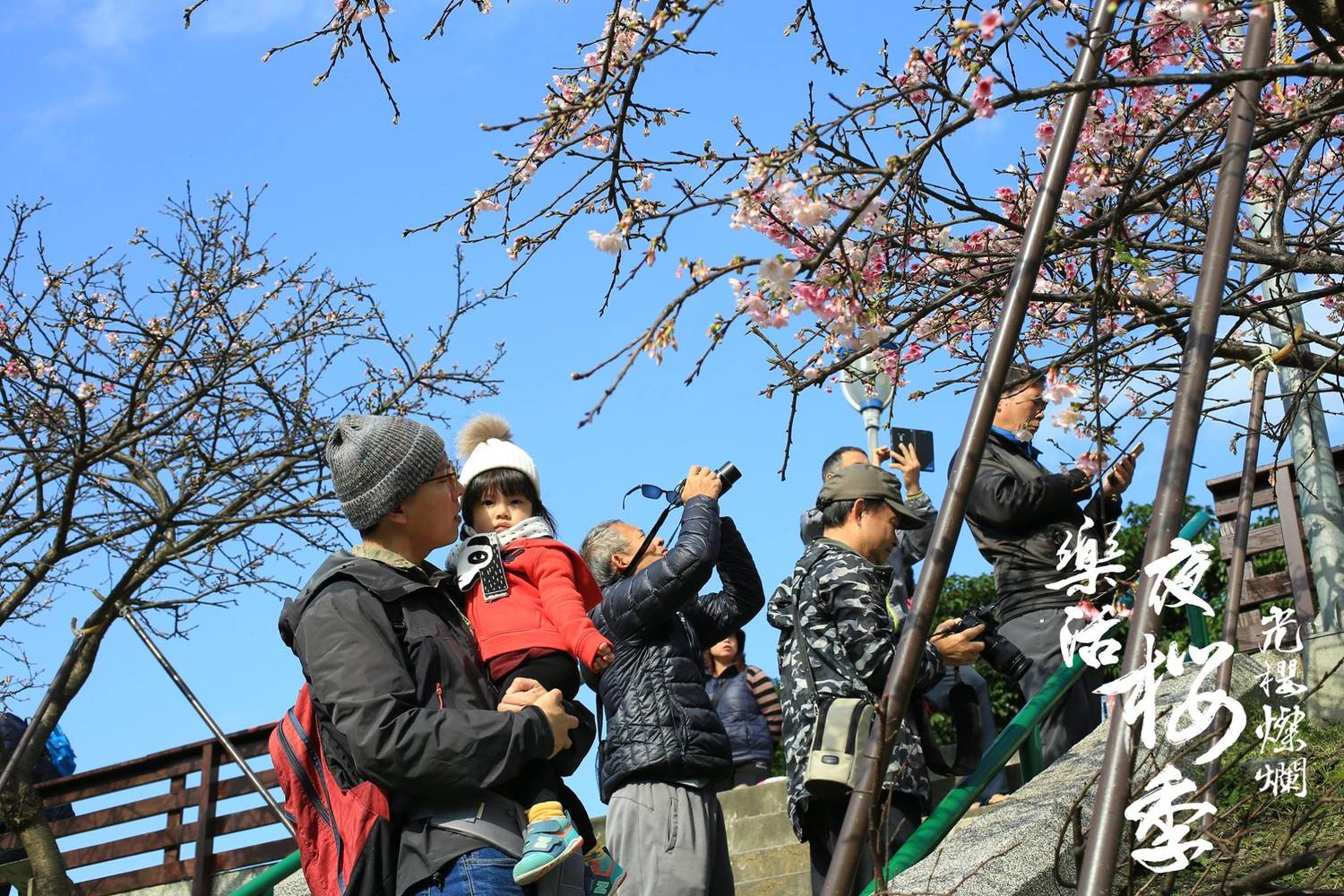 公園處表示,內湖樂活櫻花季能讓親朋好友歡樂相聚,一同在內湖樂活公園留下回憶。 圖:內湖夜櫻季FB粉絲專頁提供 公園處表示,內湖樂活櫻花季能讓親朋好友歡樂相聚,一同在內湖樂活公園留下回憶。 圖:內湖夜櫻季FB粉絲專頁提供