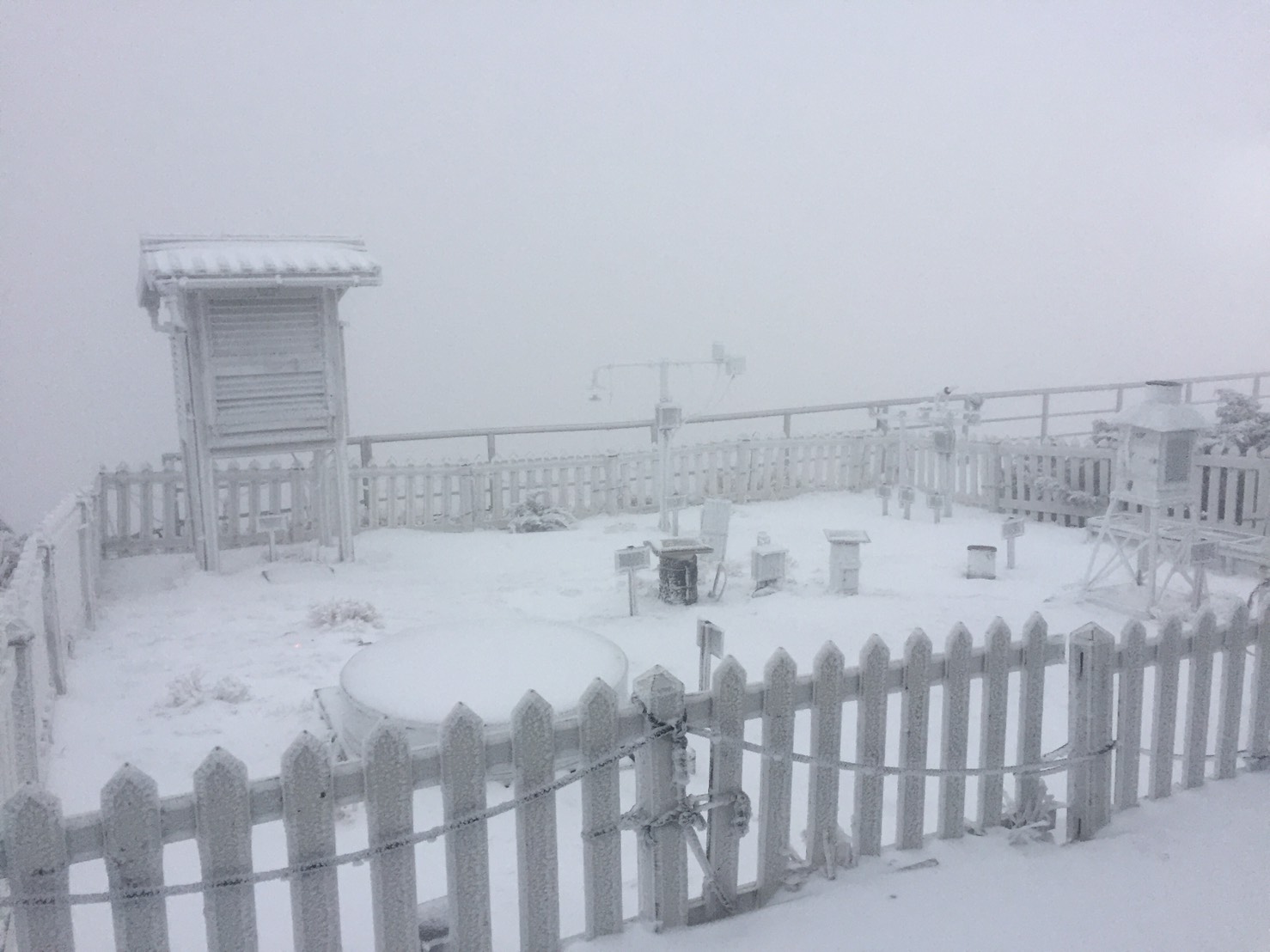 玉管處說明,玉山地區的排雲山莊自今日零晨3點30分開始飄雪至5點20分停止降雪,積雪近5公分左右。 圖:中央氣象局 玉管處說明,玉山地區的排雲山莊自今日零晨3點30分開始飄雪至5點20分停止降雪,積雪近5公分左右。 圖:中央氣象局