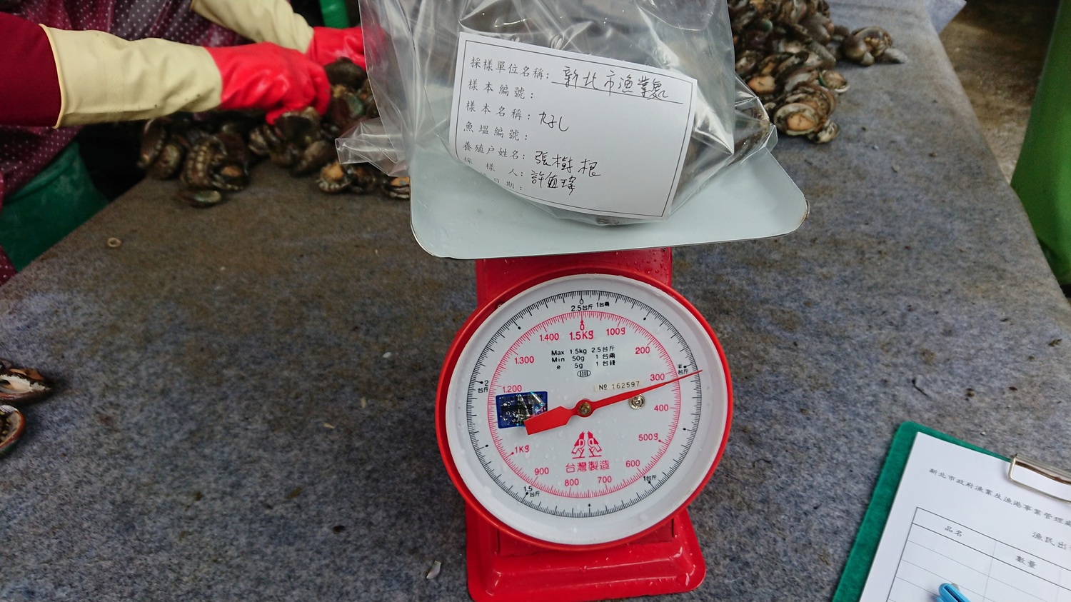 農業局表示,本次抽驗43件水產品,包括鮑魚4件、九孔30件、鱒魚3件、鱸魚2件及鱘龍魚4件等,經孔雀綠等7項藥物殘留分析,均合乎衛生福利部動物用藥殘留標準相關規定。 圖:新北市政府提供 農業局表示,本次抽驗43件水產品,包括鮑魚4件、九孔30件、鱒魚3件、鱸魚2件及鱘龍魚4件等,經孔雀綠等7項藥物殘留分析,均合乎衛生福利部動物用藥殘留標準相關規定。 圖:新北市政府提供