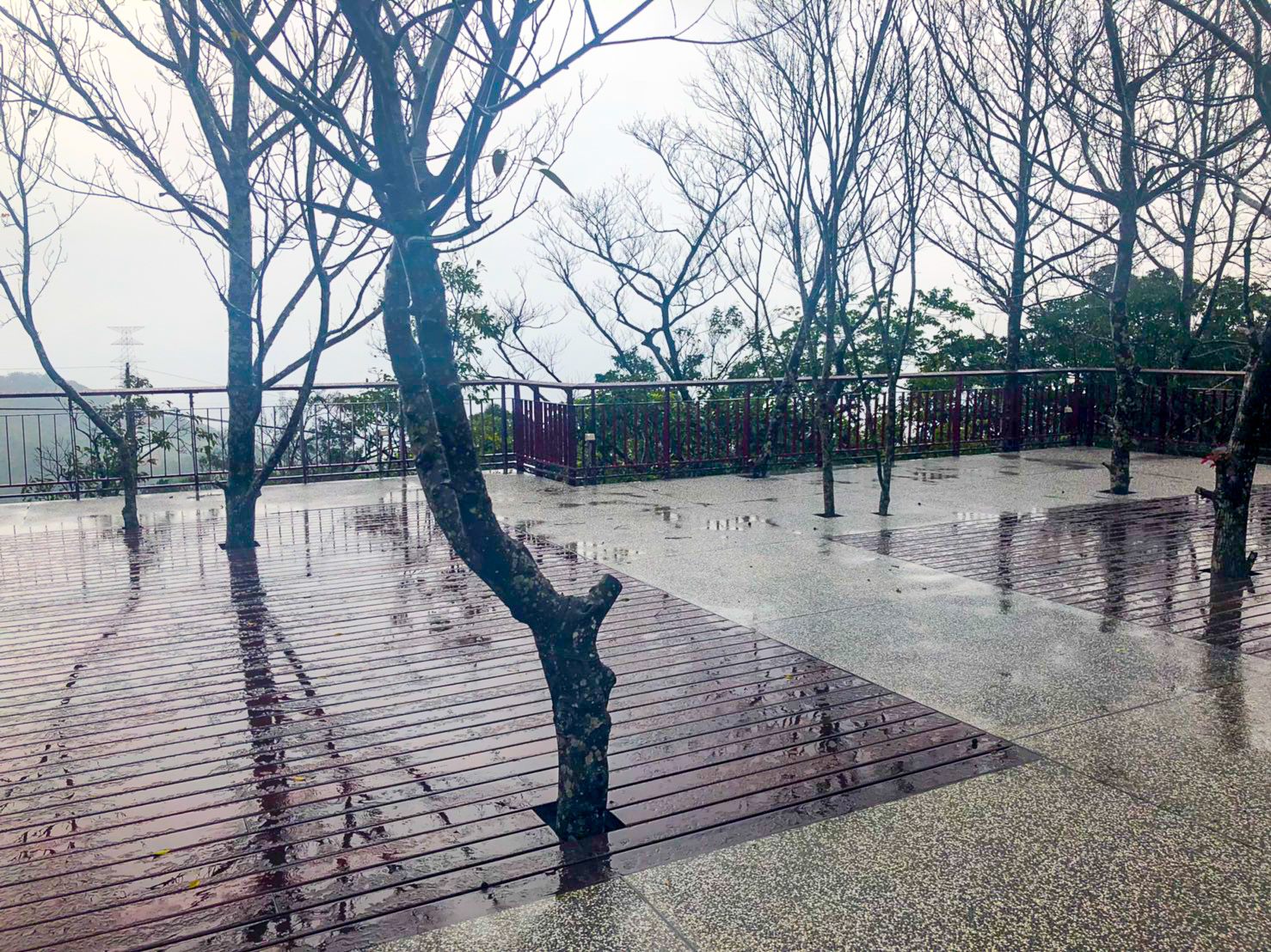 大地工程處說明,全新完成的碧山露營場,營位的數量從27個增加至42個,提供更多休憩空間。 圖:台北市工務局提供 大地工程處說明,全新完成的碧山露營場,營位的數量從27個增加至42個,提供更多休憩空間。 圖:台北市工務局提供
