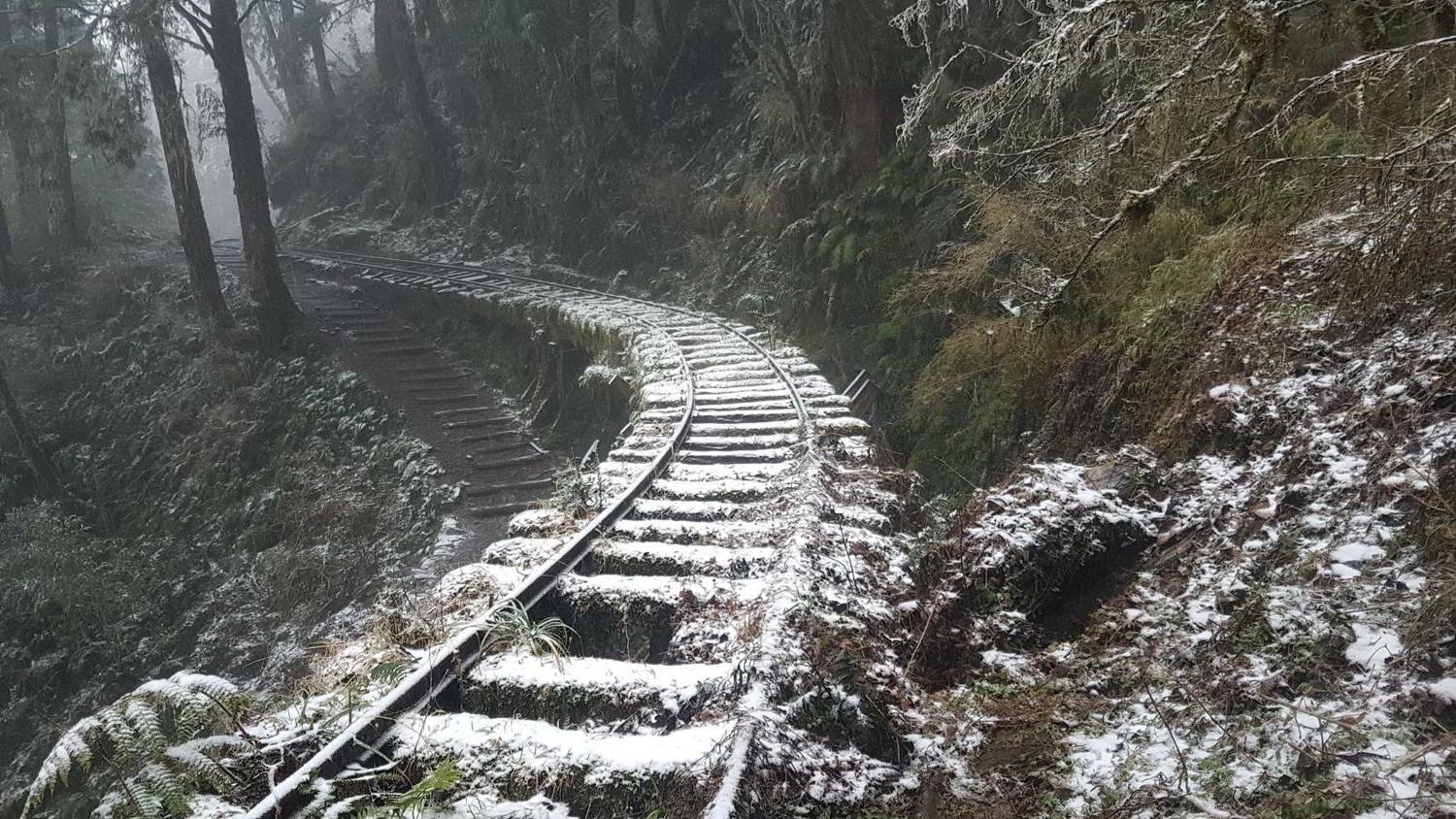 今日10點起,翠峰景觀道路預警性封閉。 圖:太平山國家森林遊樂區FB提供 賴木成/攝 今日10點起,翠峰景觀道路預警性封閉。 圖:太平山國家森林遊樂區FB提供 賴木成/攝