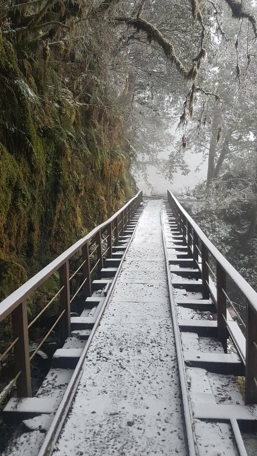 太平山國家森林遊樂區的翠峰湖區,在今天清晨從先下冰霰,然後在9:00終於下雪。 圖:太平山國家森林遊樂區FB提供 賴木成/攝 太平山國家森林遊樂區的翠峰湖區,在今天清晨從先下冰霰,然後在9:00終於下雪。 圖:太平山國家森林遊樂區FB提供 賴木成/攝