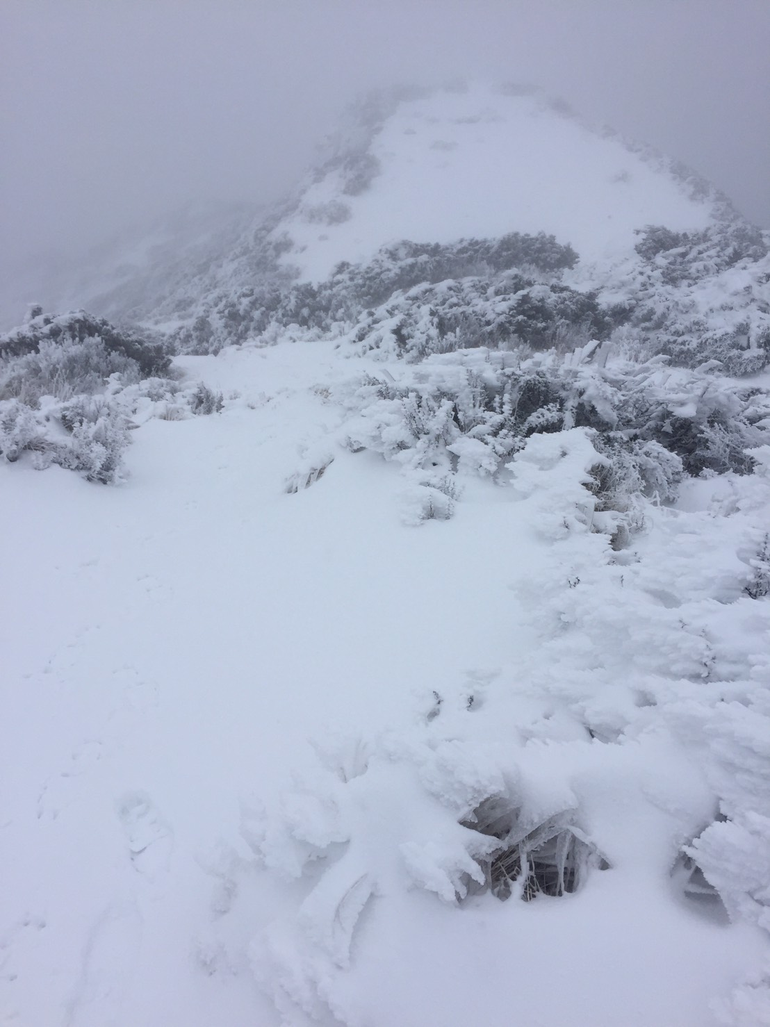 今晨玉山降雪共0.6公分,累積雪深8.6公分。 圖:中央氣象局 今晨玉山降雪共0.6公分,累積雪深8.6公分。 圖:中央氣象局