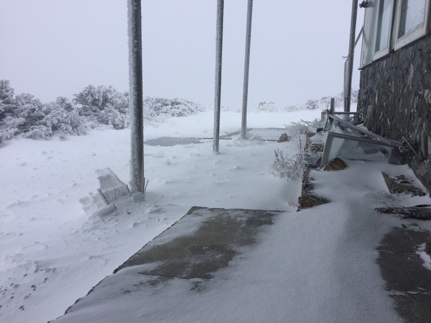玉山北峰從4:30開始下雪一路到5:50雪才停。 圖:中央氣象局 玉山北峰從4:30開始下雪一路到5:50雪才停。 圖:中央氣象局