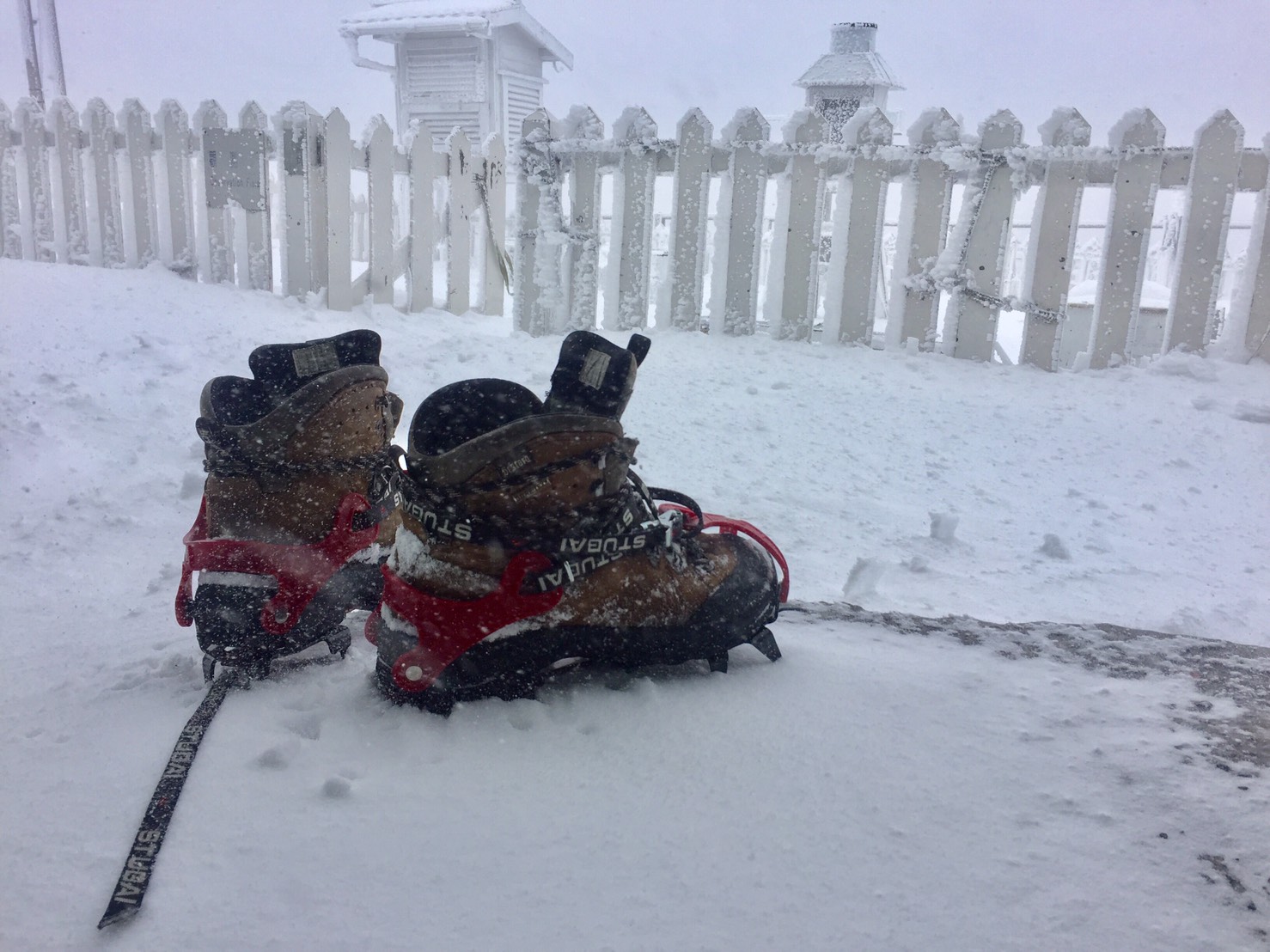 今天清晨玉山也下起白雪。 圖:中央氣象局 今天清晨玉山也下起白雪。 圖:中央氣象局