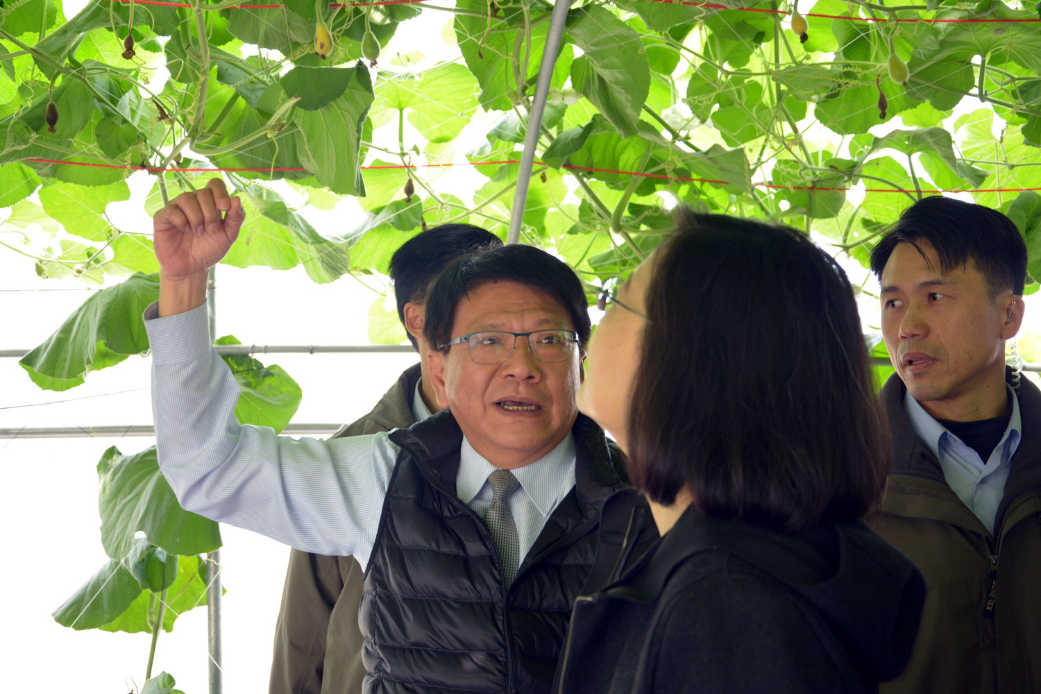 潘孟安解說農作生態。 圖:屏東縣政府/提供 潘孟安解說農作生態。 圖:屏東縣政府/提供