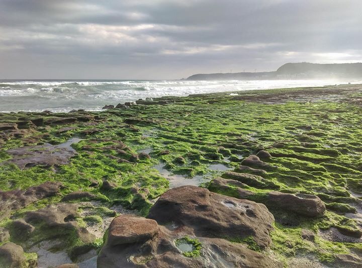 老梅綠石槽位於北海岸石門區老梅海岸,是由海蝕溝槽和海藻共同構成。 老梅綠石槽位於北海岸石門區老梅海岸,是由海蝕溝槽和海藻共同構成。