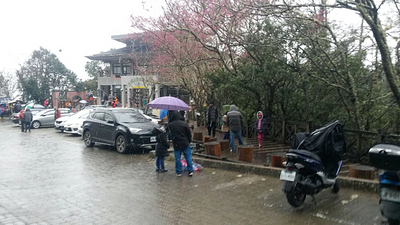 拉拉山午後下雪,未加雪鏈車輛禁上神木區。 圖:桃園市政府大溪警分局提供 拉拉山午後下雪,未加雪鏈車輛禁上神木區。 圖:桃園市政府大溪警分局提供