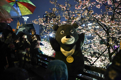 「2018樂活夜櫻季」3日晚間在台北市內湖樂活公園舉辦點燈儀式,台北市吉祥物「熊讚Bravo」也到場賞櫻,與民眾開心互動合影。 圖/中央社 「2018樂活夜櫻季」3日晚間在台北市內湖樂活公園舉辦點燈儀式,台北市吉祥物「熊讚Bravo」也到場賞櫻,與民眾開心互動合影。 圖/中央社