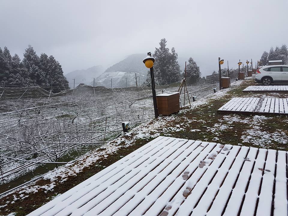 入冬最強寒流持續發威,拉拉山白雪一片。 圖:翻攝拉拉山恩愛農場臉書 入冬最強寒流持續發威,拉拉山白雪一片。 圖:翻攝拉拉山恩愛農場臉書