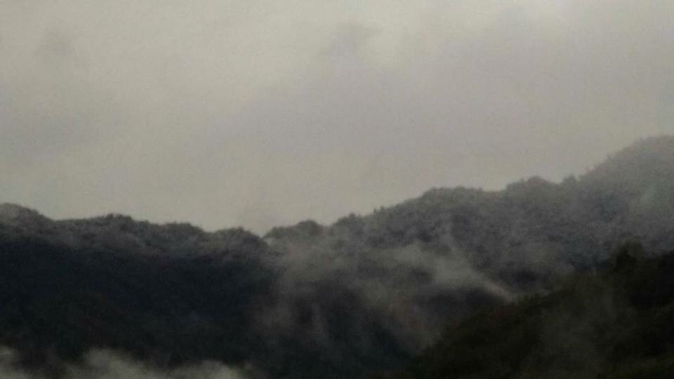 巴陵各山巔包括塔曼山、復興尖、唐穗山、雪白山、低陸山也都全部呈現白色雪景。 圖:翻攝羅浮溫泉。湯旅臉書 巴陵各山巔包括塔曼山、復興尖、唐穗山、雪白山、低陸山也都全部呈現白色雪景。 圖:翻攝羅浮溫泉。湯旅臉書