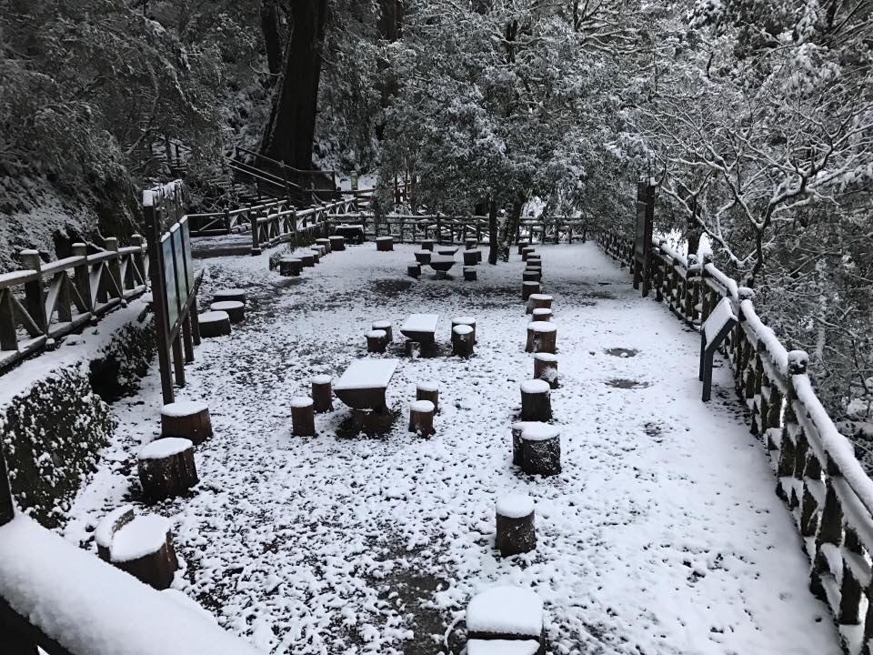 桃園復興區神木區內林道積雪5公分。 圖:桃園市風景管理處/提供 桃園復興區神木區內林道積雪5公分。 圖:桃園市風景管理處/提供