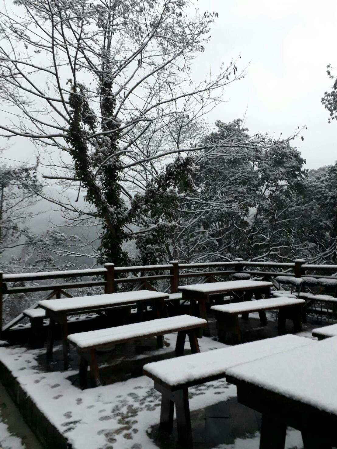 由於復興區上巴陵有降雪情形,為確保用路人安全,桃116道路限裝雪鏈的車輛才可通行。 圖:桃園市政府提供 由於復興區上巴陵有降雪情形,為確保用路人安全,桃116道路限裝雪鏈的車輛才可通行。 圖:桃園市政府提供