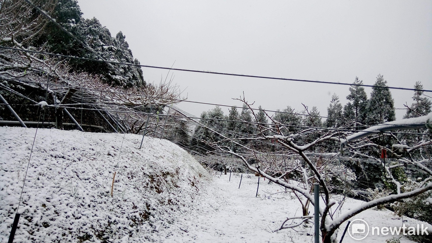 最強寒流持續發威,今(5)日桃園拉拉山雪景。 圖:呂耿正/攝 最強寒流持續發威,今(5)日桃園拉拉山雪景。 圖:呂耿正/攝