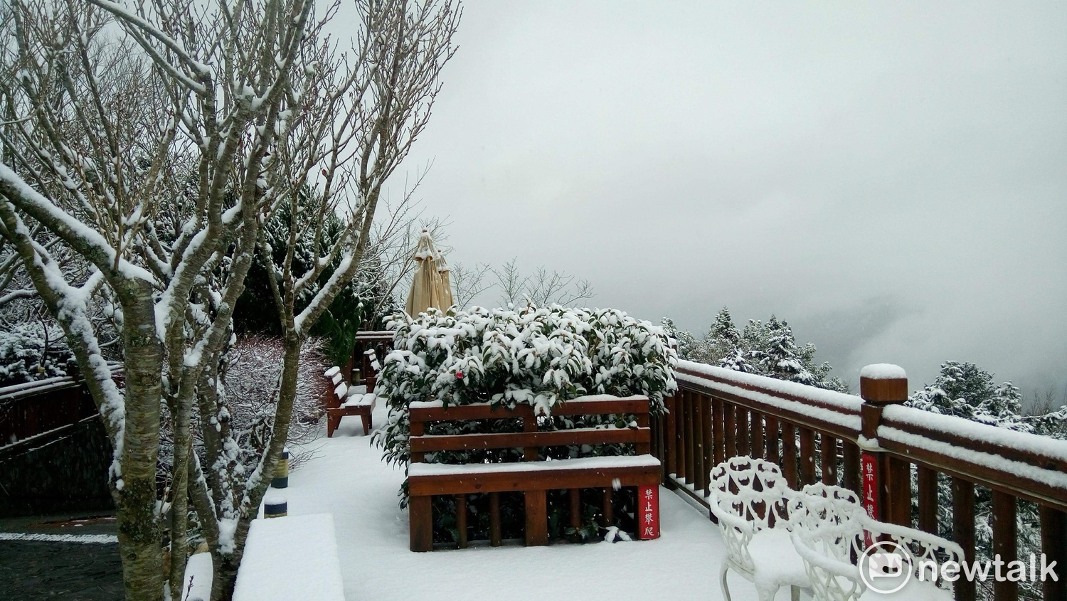 最強寒流持續發威,今(5)日桃園拉拉山雪景。 圖:呂耿正/攝 最強寒流持續發威,今(5)日桃園拉拉山雪景。 圖:呂耿正/攝