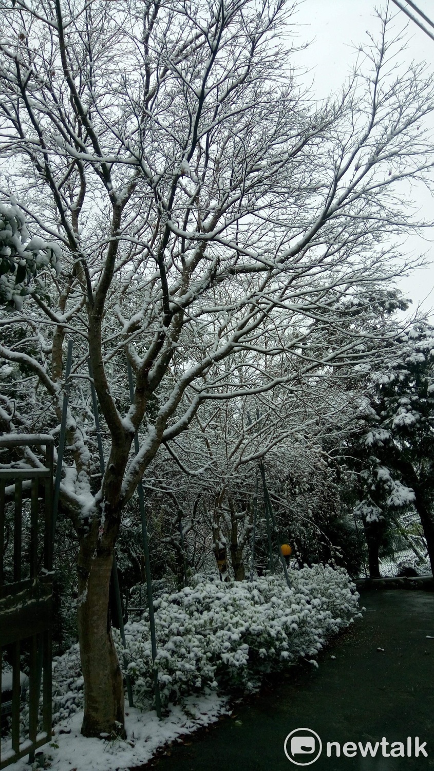 最強寒流持續發威,今(5)日桃園拉拉山雪景。 圖:呂耿正/攝 最強寒流持續發威,今(5)日桃園拉拉山雪景。 圖:呂耿正/攝