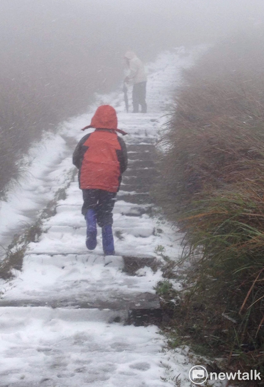 不止是鞍部下雪,陽明山國家公園內,通往夢幻湖的步道今(5)日上午也飄雪,大人、小孩樂的在步道上打雪仗。 圖:葉名峻/攝 不止是鞍部下雪,陽明山國家公園內,通往夢幻湖的步道今(5)日上午也飄雪,大人、小孩樂的在步道上打雪仗。 圖:葉名峻/攝