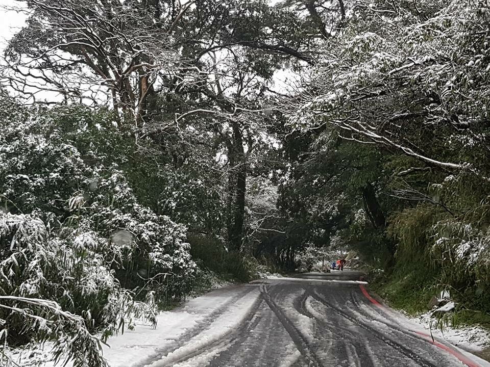 針對大屯山下雪,陽明山竹仔湖里長曹昌正在臉書表示,雖然很美,但是接下來過年的蔬果價格要漲價了。 圖:取自曹昌正臉書 針對大屯山下雪,陽明山竹仔湖里長曹昌正在臉書表示,雖然很美,但是接下來過年的蔬果價格要漲價了。 圖:取自曹昌正臉書