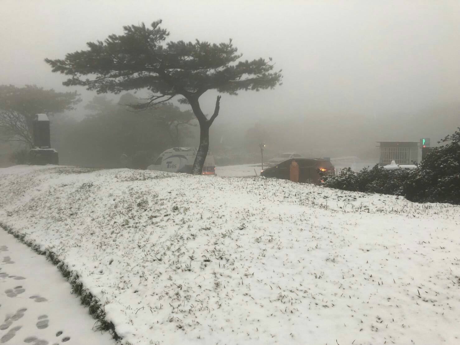 針對大屯山下雪,陽明山竹仔湖里長曹昌正在臉書表示,雖然很美,但是接下來過年的蔬果價格要漲價了。 圖:取自曹昌正臉書 針對大屯山下雪,陽明山竹仔湖里長曹昌正在臉書表示,雖然很美,但是接下來過年的蔬果價格要漲價了。 圖:取自曹昌正臉書