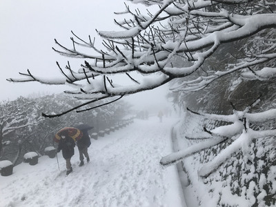 大屯山降雪。
圖:中央社 大屯山降雪。
圖:中央社