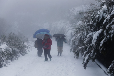民眾徒步上大屯山賞雪。 圖:中央社 民眾徒步上大屯山賞雪。 圖:中央社